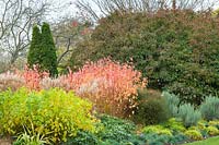 Jardins automnaux colorés à Cambridge Botanic Gardens, Royaume-Uni.