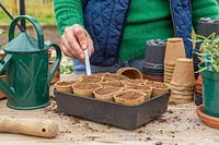 Femme ajoutant une étiquette d'identification au plateau de pots biodégradables semés avec des graines de haricots verts.