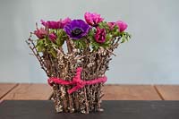 Anémone coronaire rose et violette exposée dans un vase, décorée de branches de mousse ou de lichen.