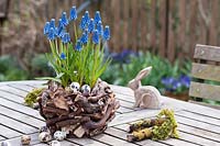 Décoration de table en plein air de Pâques, avec des muscari en fleurs et des œufs de caille affichés dans un récipient en bois.