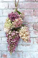 Bouquet d'hortensias mélangés pour organiser ou sécher