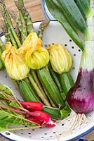 Récolte des légumes du début de l'été - y compris les radis, les asperges et les courgettes.