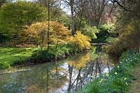 Vue sur la rivière Avon et la plantation de forêts environnantes à Abbey House Gardens, Malmesbury, Royaume-Uni.