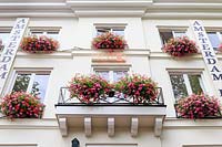 Boîtes de fenêtre de pélargoniums roses et rouges sur la façade de l'hôtel Amsterdam, Pays-Bas.