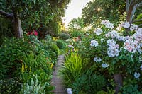 Chemin pavé entre les parterres de fleurs d'été informels. Little Friars Garden, Battle, Sussex, Royaume-Uni.
