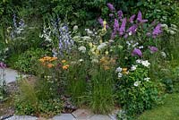 Un parterre de fleurs d'été de Buddlejas, Bellflowers, Foxgloves, Ammi, Achilleas et Rosa pour encourager les pollinisateurs