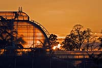 Coucher de soleil derrière la palmeraie à Kew Botanic Gardens, Kew, Richmond, Royaume-Uni.