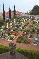 Fleurs dans le cimetière de Monte Funchal, Madère.