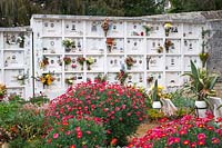 Fleurs sur des coffres muraux dans le cimetière de Monte Funchal Madeira.
