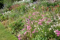 Parterre de fleurs herbacées sur le thème pastel planté d'Astrantia, de géranium, d'Achillea, d'Hemerocallis, de Persicaria, de Malva et de Leucanthemum à Hurdley Hall, Powys, Pays de Galles, Royaume-Uni.