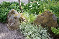 Rochers recouverts de mousse et de lichen avec Phalaris arundinacea, Tulipa et fougères auto-ensemencées.