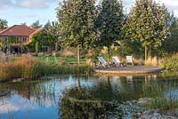 Une piscine naturelle est dominée par un patio rond flanqué de trois airs de Sorbus «Mitchellii '». Au-delà, des pelouses bordées de parterres sinueux et la maison de la famille Murch.