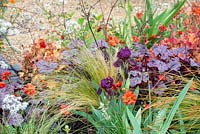 Parterre de fleurs colorées d'Iris 'Langport Wren', Stipa tenuissima, Heucera 'Plum Pudding' et Geum 'Totally Tangerine' - The Redshift, RHS Malvern Spring Festival 2019