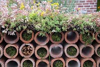 Mur de tuyaux de drainage en argile, avec album Sedum et mousse dans le Very Hungry Caterpillar Garden, RHS Tatton Park Flower Show, 2019.
