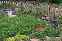 Pelouse de trèfle avec petit étang et banc incurvé en pierre sèche soutenu par une palissade en bois, poteaux de clôture avec des hôtels d'insectes dans un jardin semi-sauvage. RHS Hampton Court Festival 2019.