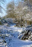 Chemin à travers des parterres pleins d'arbres, d'arbustes et de vivaces, y compris Berberis thunbergii - sous la neige se trouvent l'iris barbu, les géraniums rustiques, les graminées ornementales, Astas et Euonymus fortunei, neige en janvier.