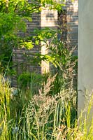 Herbes sauvages dans un style de plantation naturaliste au RHS Hampton Court Palace Garden Festival 2019. Sponsors: Wienerberger, Majestic Trees, Quick Hedge, Allgreen Group, WowGrass.