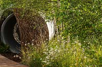Plantation naturaliste avec Leucanthemum vulgare - marguerites à œil de boeuf et Betula pendula - bouleau verruqueux - et un arc en saule tressé recouvrant une grande conduite d'eau. RHS Hampton Court Palace Garden Festival 2019. Commanditaire: Thames Water.