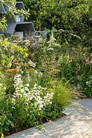 Le jardin Urban Pollinator au RHS Hampton Court Palace Garden Festival 2019. Commanditaire: Warner's Distillery