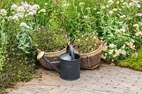 Un jardin naturaliste avec des plantes poussant dans des paniers utilisés comme pots en matériaux naturels. RHS Hampton Court Palace Garden Festival 2019.