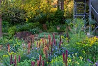 The Resilience Garden, RHS Chelsea Flower Show 2019 - Lumière du matin tombant sur la plantation mixte de Digiplexus, Echium russicum et Linum perenne