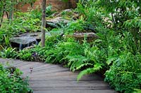 Le RHS Back to Nature Garden. Petite cascade à côté du sentier de promenade. Les plantes comprennent: Astrantia, Dryopteris filix-mas, Asplenium scolopendrium et Luzula nivea - Snowy Woodruff.