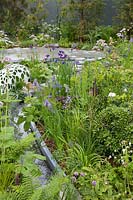 Le Jardin de Manchester, vue du ruisseau d'eau à ses côtés, plantation de Sibirica 'Persimmon ' et Rodgersia. Sponsors: Aviva Investors et Cole Waterhouse.