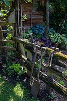 Vieux outils de jardin s'appuyant sur une clôture rustique moussue