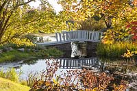 Pont en bois voûté sur la rivière Orekhovnitza reflétée dans l'eau. Couleur d'automne dans les arbres et arbustes environnants. Ligularia au premier plan. Jardin d'Orekhovno, Orekhovno, région de l'oblast de Pskov, Russie occidentale.