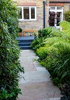 Vue le long d'un chemin pavé en pierre vers la maison dans un petit jardin tolérant à l'ombre à Londres avec un thème vert. À gauche, Black Bamboo, formant un écran à partir de la propriété voisine.