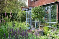 Les portes de la véranda s'ouvrent sur le jardin avec Digitalis et Salvia en fleurs et standards topiaires coupés