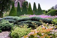 Cèdre en espalier formé contre un mur avec Canal Garden derrière avec des fleurs colorées et une grande haie d'ifs coupée en minces pics au York Gate Garden, Adel en juillet.