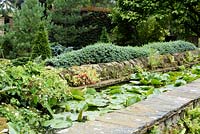 Une rigole surélevée pleine de nénuphars dans le jardin du canal bordée de cyprès formés et de géraniums et fougères auto-ensemencés au York Gate Garden, Adel en juillet.