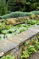 Une rigole surélevée pleine de nénuphars dans le jardin du canal bordée de cyprès formés et de géraniums et fougères auto-ensemencés au York Gate Garden, Adel en juillet.