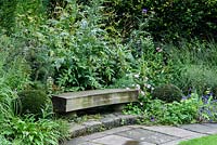 Banc en bois simple dans le jardin de Sybil entouré de boules d'ifs coupés, d'herbes, de géraniums, de Morina longifolia et de fenouil au York Gate Garden, Adel en juillet.