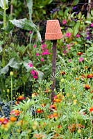 Des bâtonnets de noisetier surmontés de petits pots en terre cuite recouverts de filets de protection au York Gate Garden, Adel en juillet.