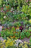 Une vue aérienne d'un jardin comestible avec des bordures de légumes mixtes d'herbes, de légumes et de fleurs bénéfiques pour les insectes, notamment le fenouil, la capucine, Rudbeckia hirta, Echinacea purpurea, Lavendula, Verbena bonariensis et Agastache rugosa