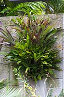 Un mur de grès fait de blocs de forme irrégulière décoré d'une exposition de broméliacées et d'orchidées entourées de palmiers de jardin et de plantes feuillues.