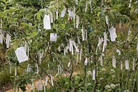 Cultiver les Reves, Grow Your Dreams, Festival International des Jardins 2019, Domaine de Chaumont sur Loire, France. Souhaitant arbre avec étiquettes en papier et souhaits.