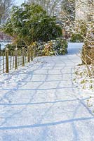 Rampes de campagne et chemin couvert de neige avec Mahonia et bulbes sortant de la neige fin février. L'ancien presbytère, Suffolk, UK