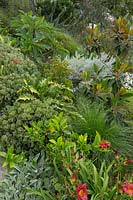 Un jardin en pente à plusieurs niveaux avec une variété d'herbes, de plantes et d'arbustes avec des gardénias, des plantes succulentes, des hémérocalles, des buissons d'émeu, du magnolia et un frangipanier.