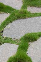 Un chemin fait de pavés de pierre grise de forme irrégulière intercalés avec de l'herbe Zoysia.