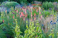 Parterres de plantes herbacées à Bluebell Cottage Gardens, Dutton, Cheshire. La plantation comprend Echinacea purpurea, Hemerocallis 'Stafford' Phlomis russeliana, Kniphofia 'Timothy et Echinops ritro