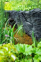 Le jardin M et G, jardin boisé avec du bois de chêne brûlé par Johnny Woodford par le ruisseau avec des plantes marginales dont Equisetum hyemale. Commanditaire: M et G, RHS Chelsea Flower Show 2019.