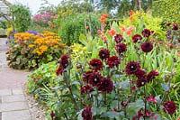 Le jardin Lanhydrock, Wollerton Old Hall Garden, Shropshire, Royaume-Uni. Vue de parterre de fleurs d'été mixte. La plantation comprend: Dahlias, Ligularia, Agapanthus, Eupatoriums et Cannas