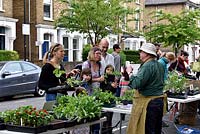 Les gens qui achètent des plantes de décrochage communautaire dans la rue urbaine. Wilberforce Road Gardeners vente d'usine, London Borough of Hackney.