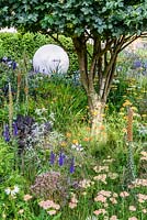 Parterres d'été dans le jardin de la Fondation Bounce Back: défaire le nœud - RHS Hampton Court Flower Show 2014. Commanditaire: Fondation Bounce Back.