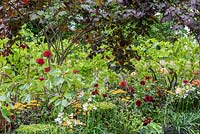 Parterres d'été dans le jardin de Bachus. RHS Hampton Court Flower Show 2014.
