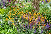 Salvia nemerosa 'Caradonna', Geum 'Princess Juliana' et Camassia au Morgan Stanley Healthy Cities Garden - RHS Chelsea Flower Show 2015. Parrain: Morgan Stanley.