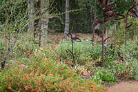 Sculptures artisanales de fleurs en métal parmi les plantes couvre-sol. La plantation comprend: Zauchneria latifolia et Cercocarpus ledifolius